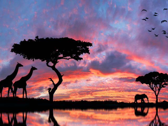 consejos de viaje sud africa
