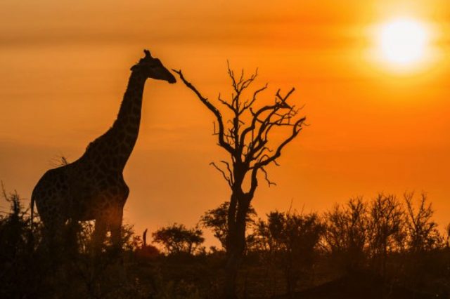 áfrica
