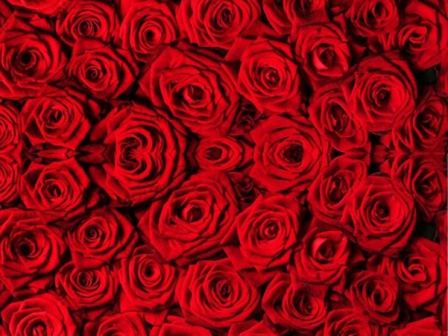 san valentin