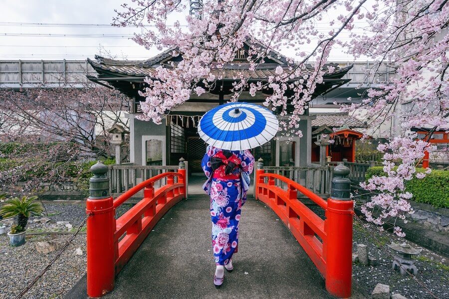 Cerezos en flor en Japón